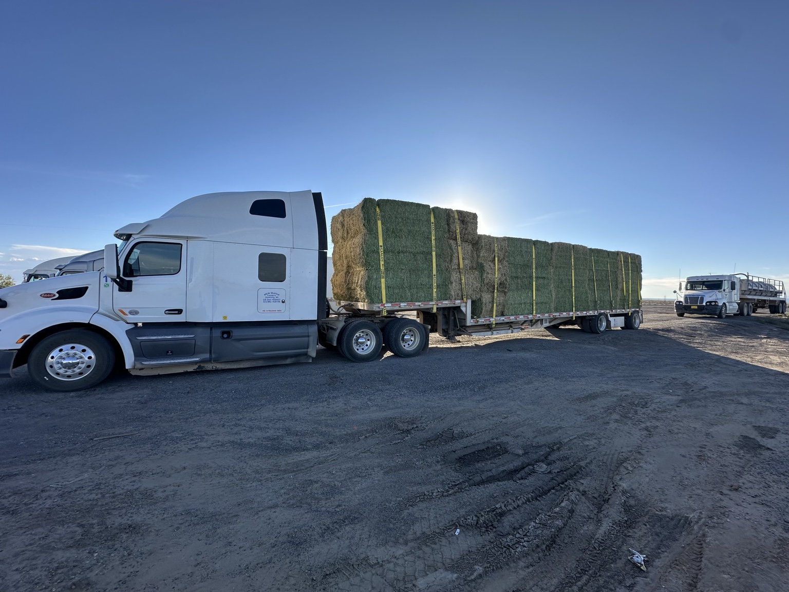 New Haven Express’s white Peterbilt with a secured hay load on its step deck trailer